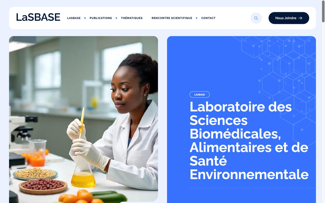 Projet LaSBASE - Assou Group Togo